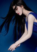 <b>中国社科院研究员王业强对记</b>